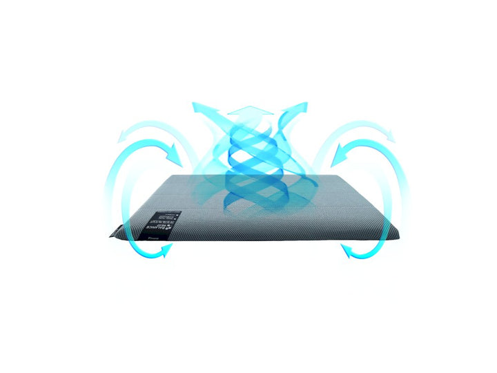 Bullsone Balance Seat Cushion - 25mm