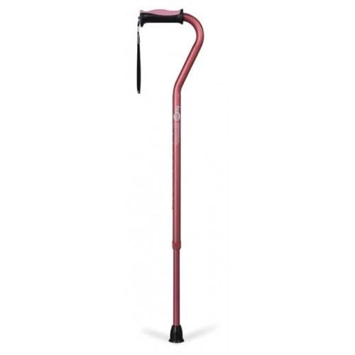 Hugo Offset Handle Cane