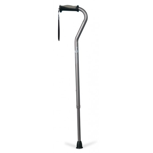 Hugo Offset Handle Cane