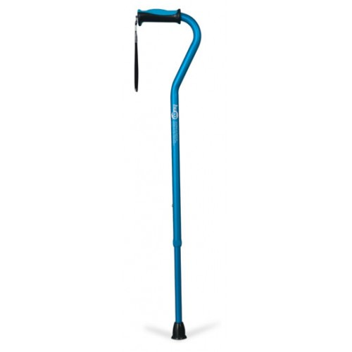 Hugo Offset Handle Cane